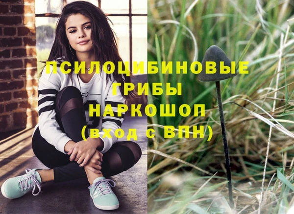 гашик Алексеевка