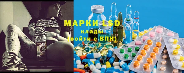 гашик Алексеевка