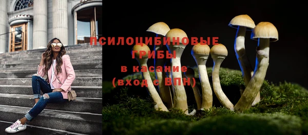 гашик Алексеевка