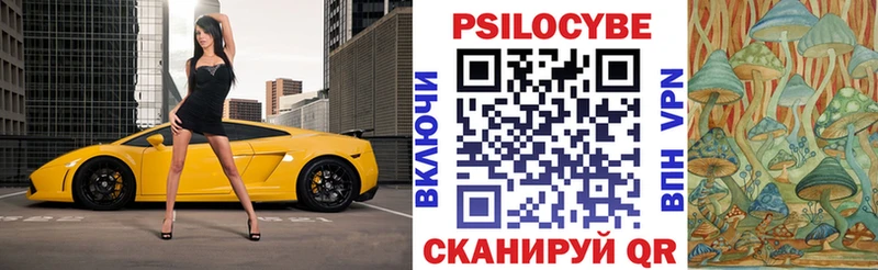 наркошоп  Кремёнки  Псилоцибиновые грибы мицелий 